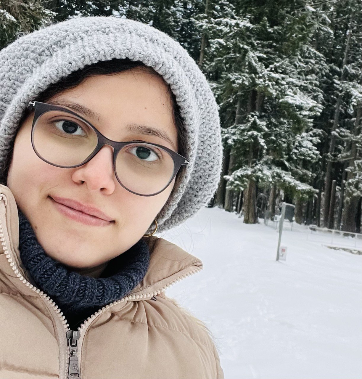 SFU Intro Systems Class Course Information