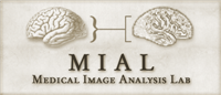 Medical Image Analysis Lab